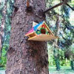 Lucky Bansko Kids Camp summer camp 2023