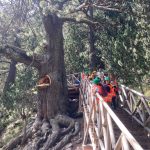 Lucky Bansko Kids Camp summer camp 2023